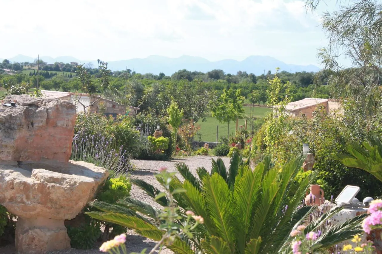 Agroturisme Es Raco De Maria Maria De La Salut Hotel