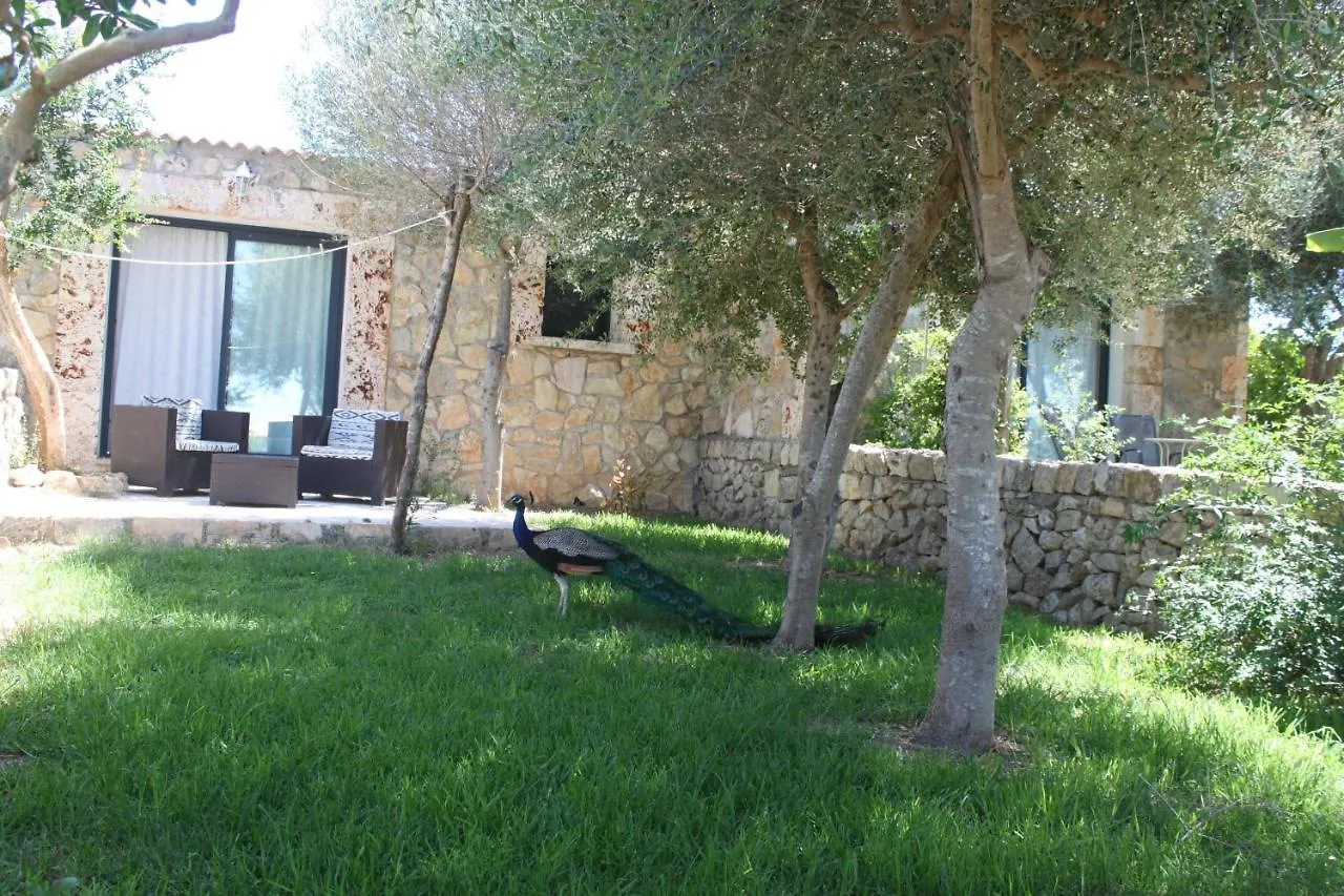 Agroturisme Es Raco De Maria Maria De La Salut Spain