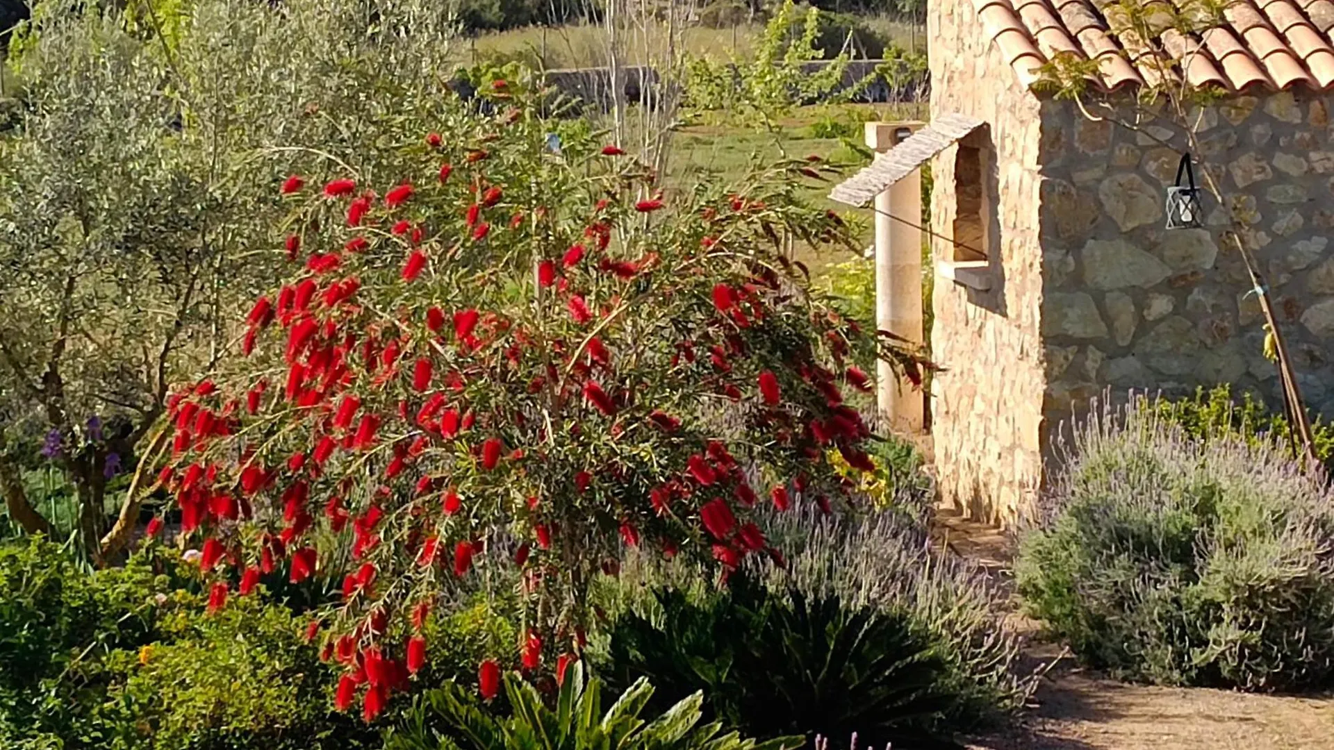 Hotel Agroturisme Es Raco De Maria Maria De La Salut