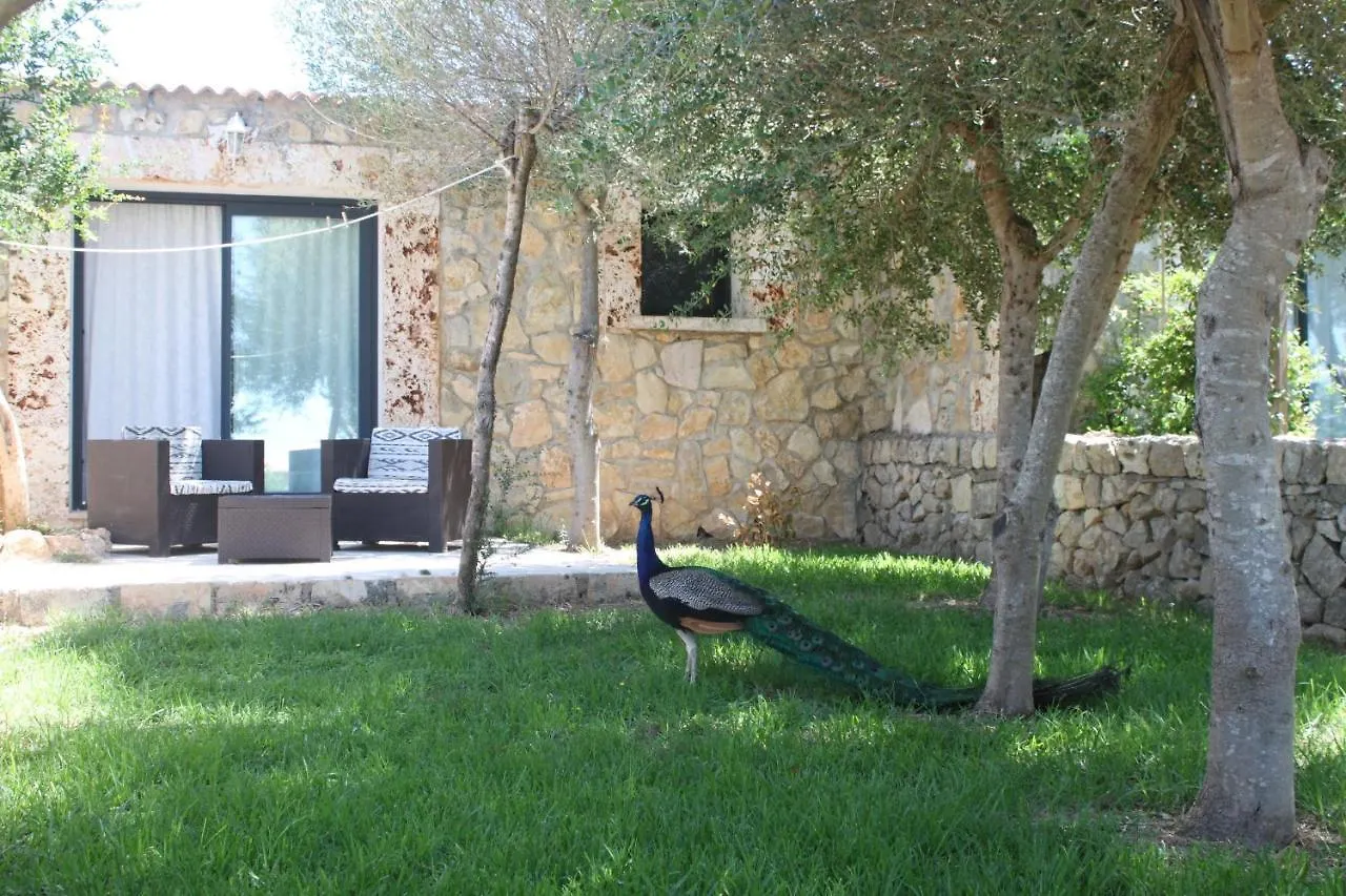 Agroturisme Es Raco De Maria Maria De La Salut Hotel