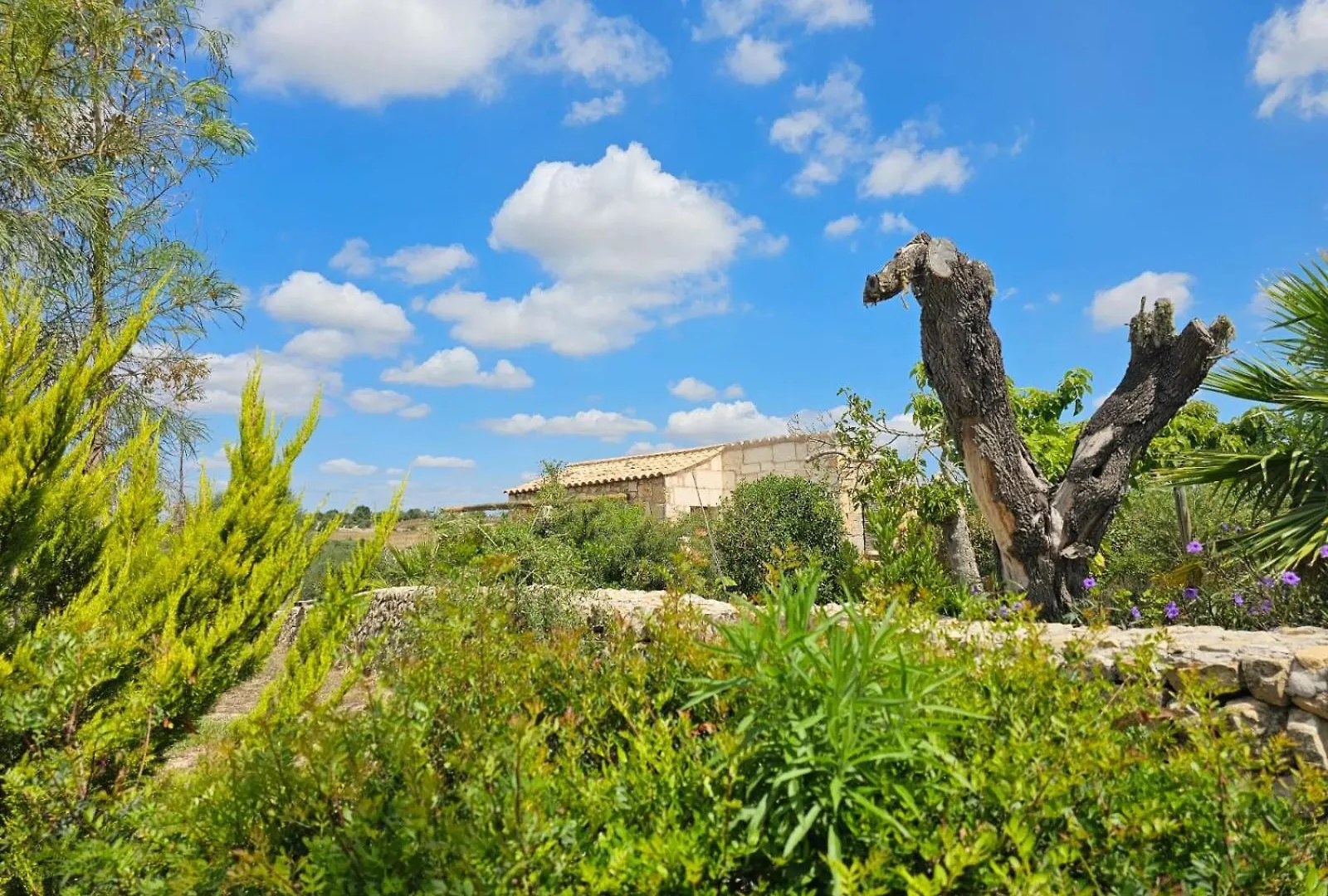 Hotel Agroturisme Es Raco De Maria Maria De La Salut