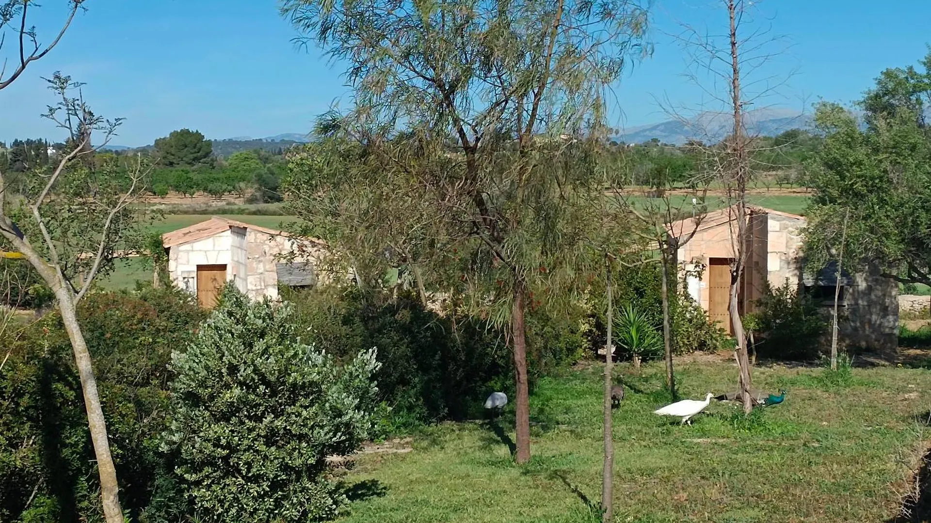 *** Hotel Agroturisme Es Raco De Maria Maria De La Salut Spain